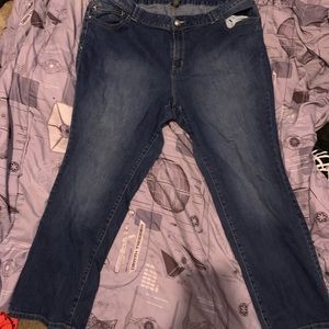 Lane Bryant Jeans Size 26 R